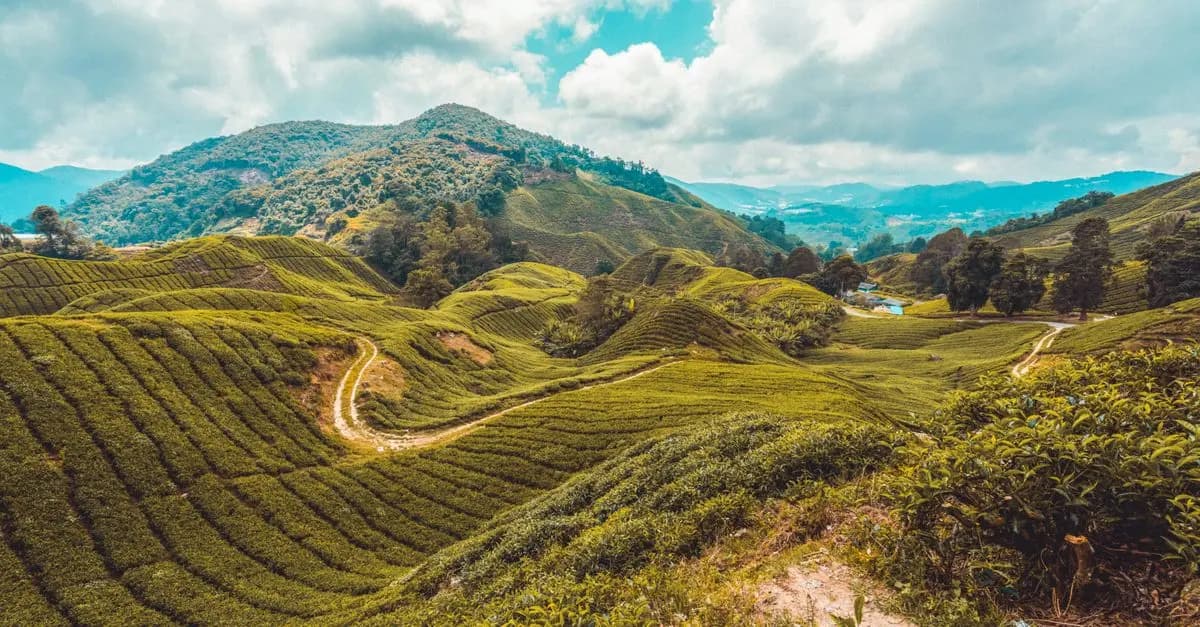The Best Strategies for Finding Affordable Travel Offers