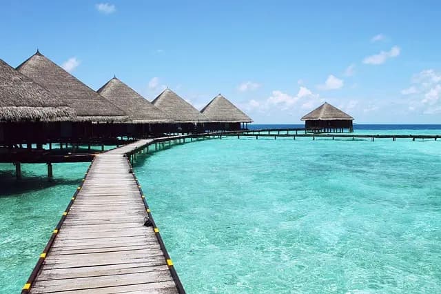 How to Find Affordable Travel Packages for Your Family