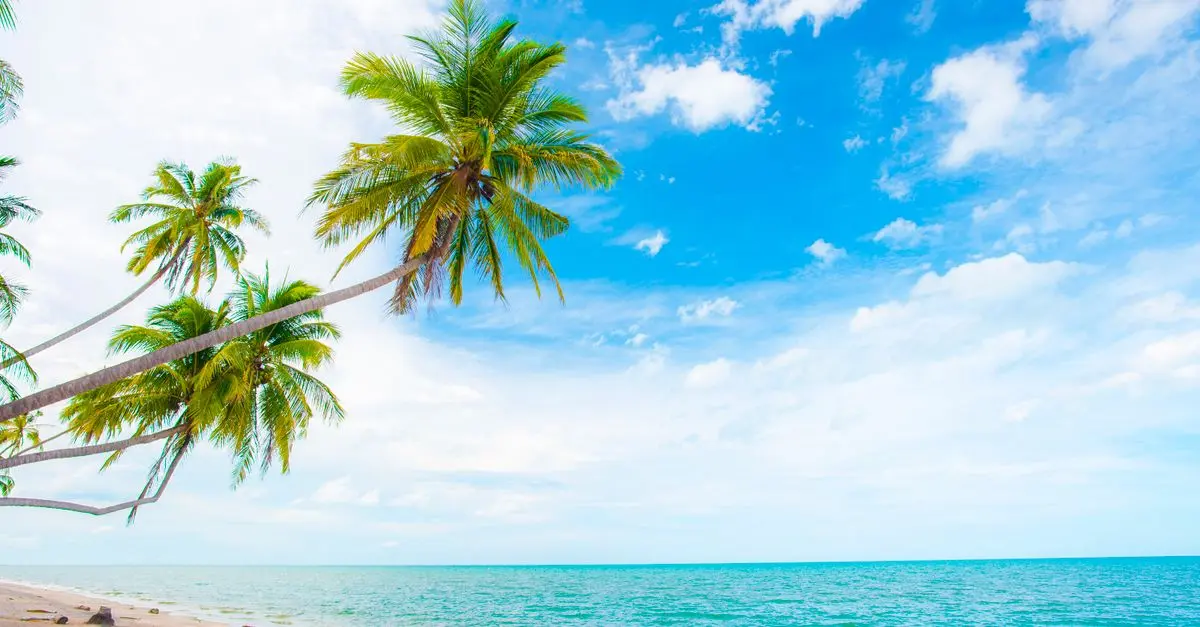 How to Spot Hidden Cheap Travel Offers Online