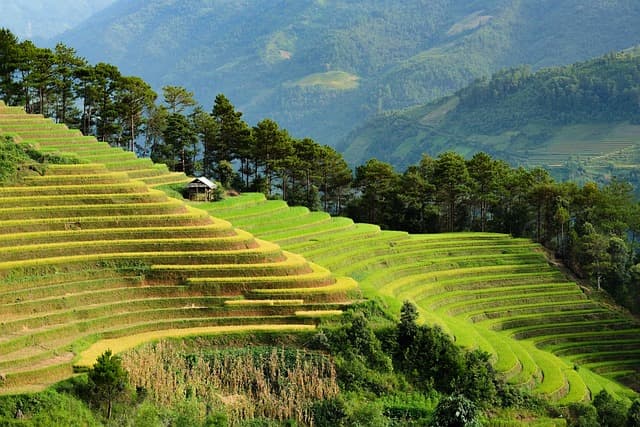 Ultimate Guide to Affordable Travel Trends for 2026